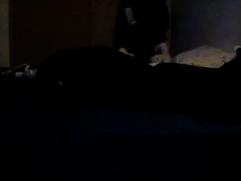 Silencio26 webcam