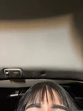 -Brittanny webcam