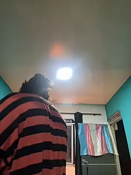 cam11_07 Live Web Cam Show