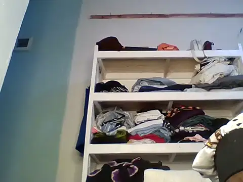 greeshi webcam