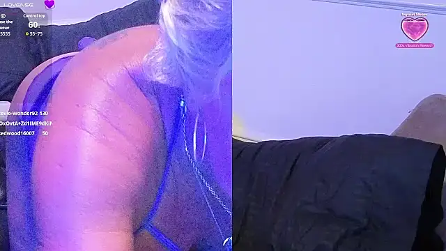 SilverRain_ webcam