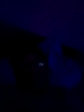 AdultAgency webcam