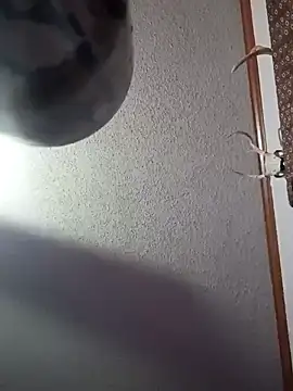 longerFellow webcam