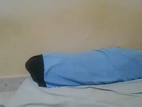 Switbeb20 webcam