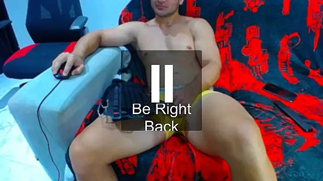 hugo_19cm webcam