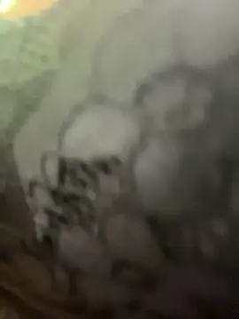 free porn live MerlinDave