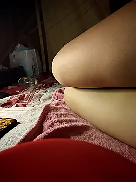 -Tara-a webcam