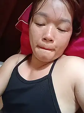 Vivy-1