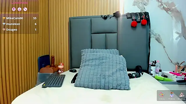 Isisleroy1 webcam