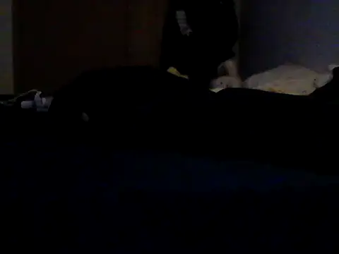 Silencio26 webcam