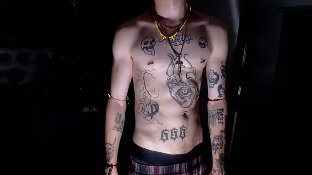 Ryan_Owenss webcam