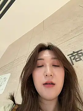 KK-328 webcam