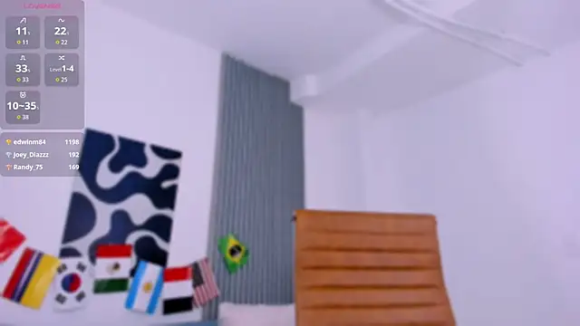 LittleNoor webcam