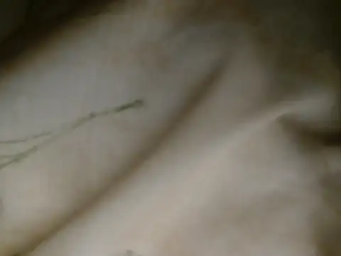 bossyjes123 webcam