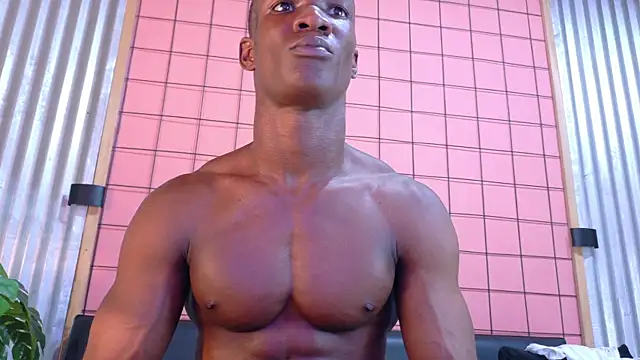 martin_killer webcam