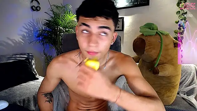 tiancam webcam