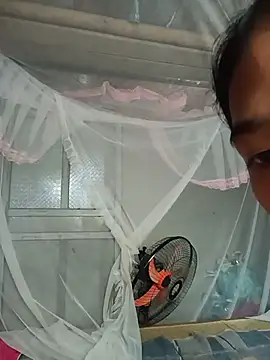 Hoa-tuylip Live Web Cam Show