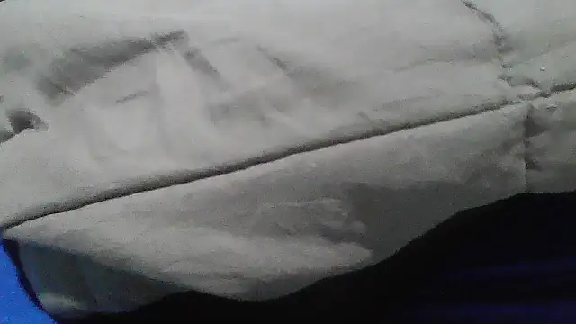 Deelica122 webcam