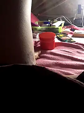 -Tara-a webcam