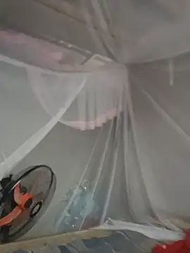Hoa-tuylip webcam