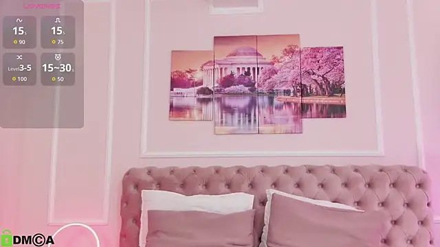MayaSpringX webcam