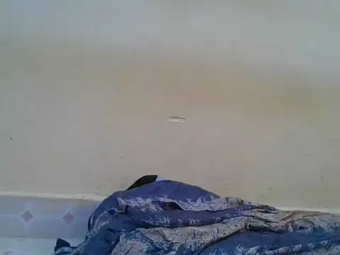 Switbeb20 webcam