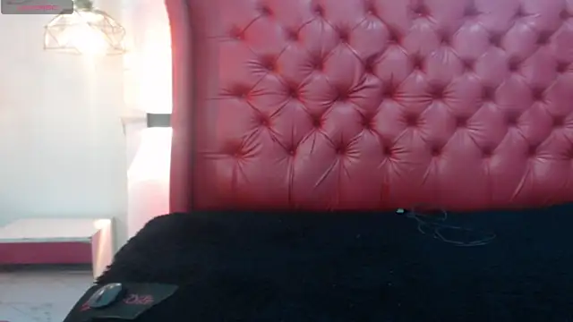 DominantBoy4 webcam