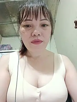 Sana-vn webcam