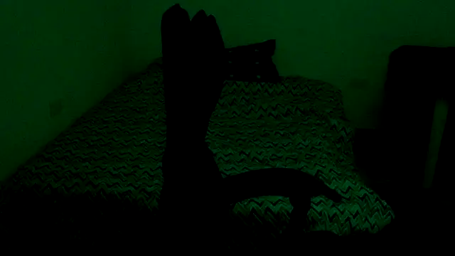 Bandida553 webcam