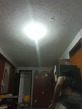 MeelFox webcam