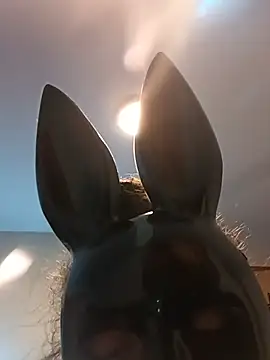 Sluttycatwomen webcam