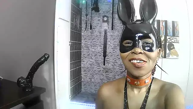 BaDSubMiss webcam