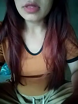 Dury-ni webcam