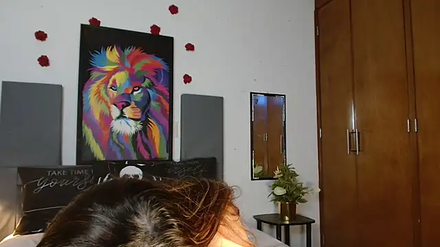 3littles webcam