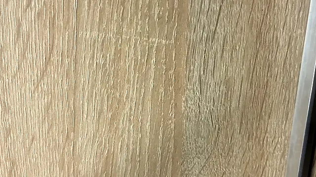 NoFace_Model webcam