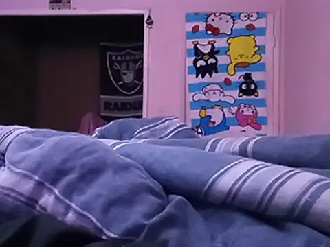 Blkstylion webcam