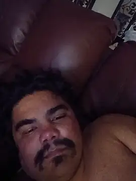 Brickstash webcam