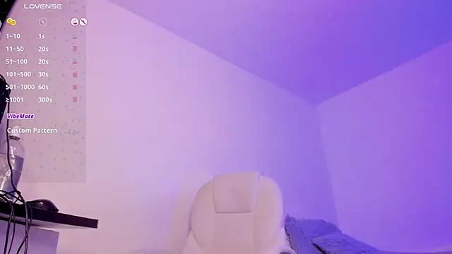 sumersunsett webcam