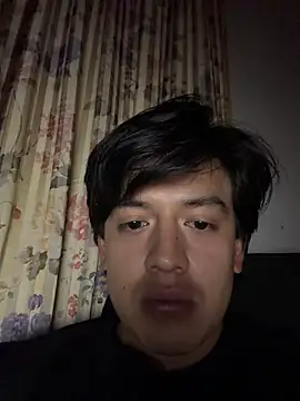 becv21 webcam