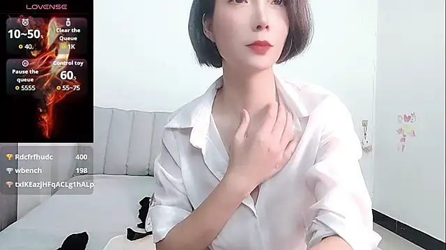 YIWA-2000 webcam