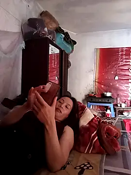 Stella-456 webcam