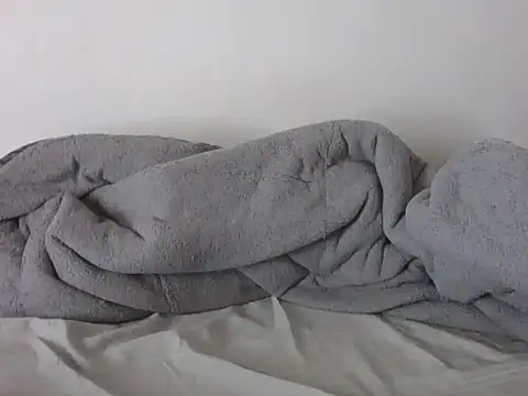 Tehiller webcam