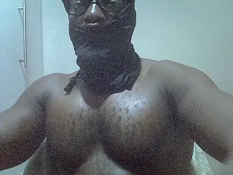 anulcock webcam