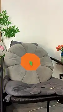 zhizhinaigai webcam