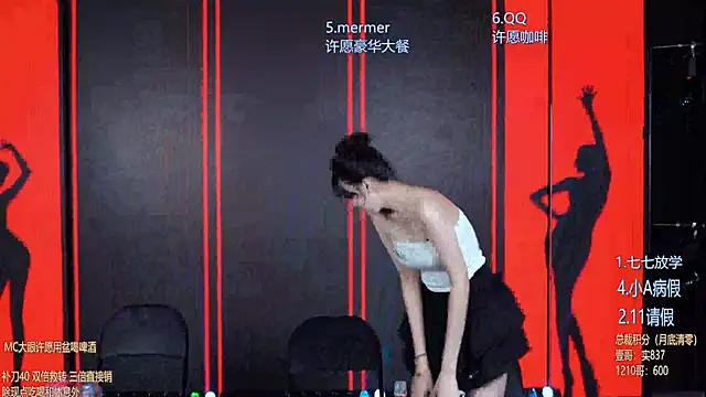 SK010 webcam