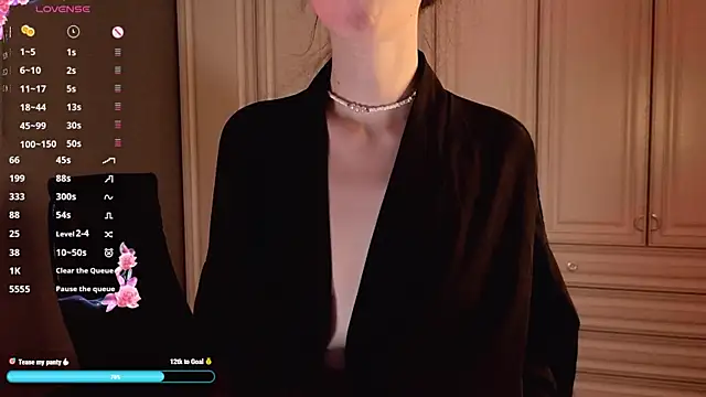 stelamontis webcam