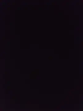 Alexander18_1 webcam