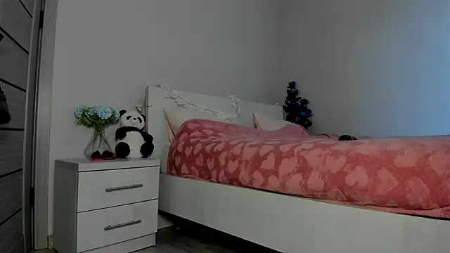 missinfull webcam