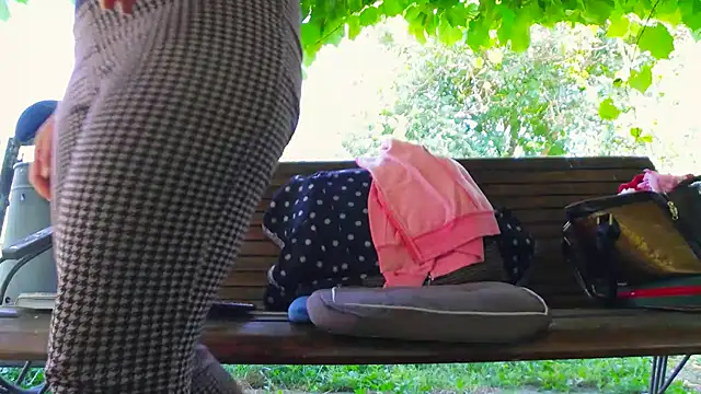 BigLabia_PublicPark webcam