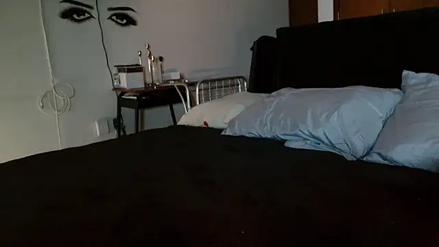 MINI_Petite webcam